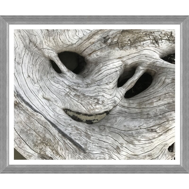 Soicher Marin 'Weathered Driftwood' Picture Frame Photographic Print - Image 0