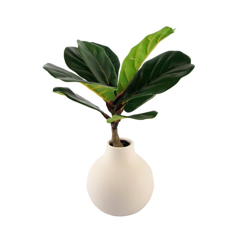 8" Fiddle Leaf Fig Tree in Vase - Image 0
