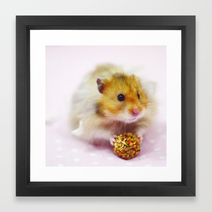 Cute Simon the Hamster Framed Art Print - Image 0