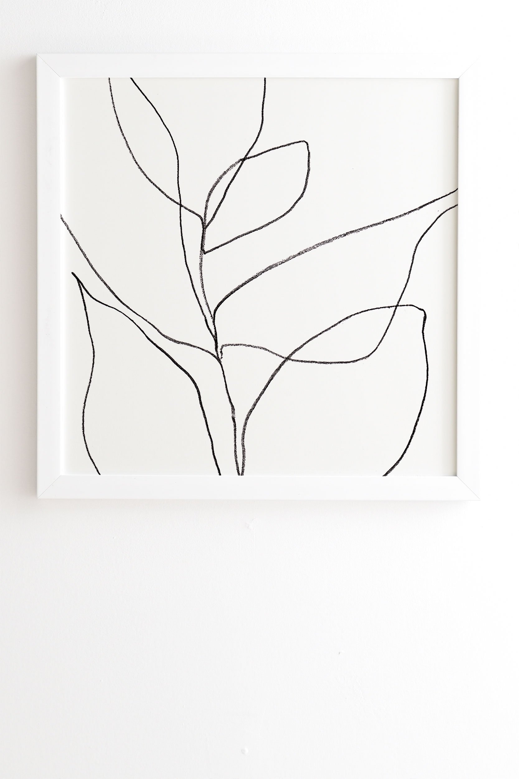 Minimalist Line art Plant Drawing by GalleryJ9, White Frame, 20" x 20" - Image 0
