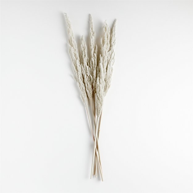 Grass Plume Dried Botanical Bunch - Image 0
