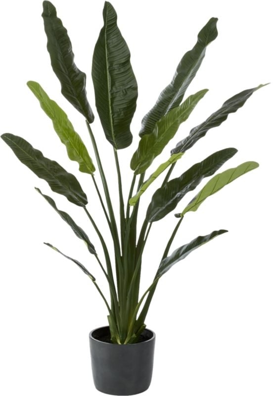POTTED FAUX BIRD OF PARADISE 6' - Image 3