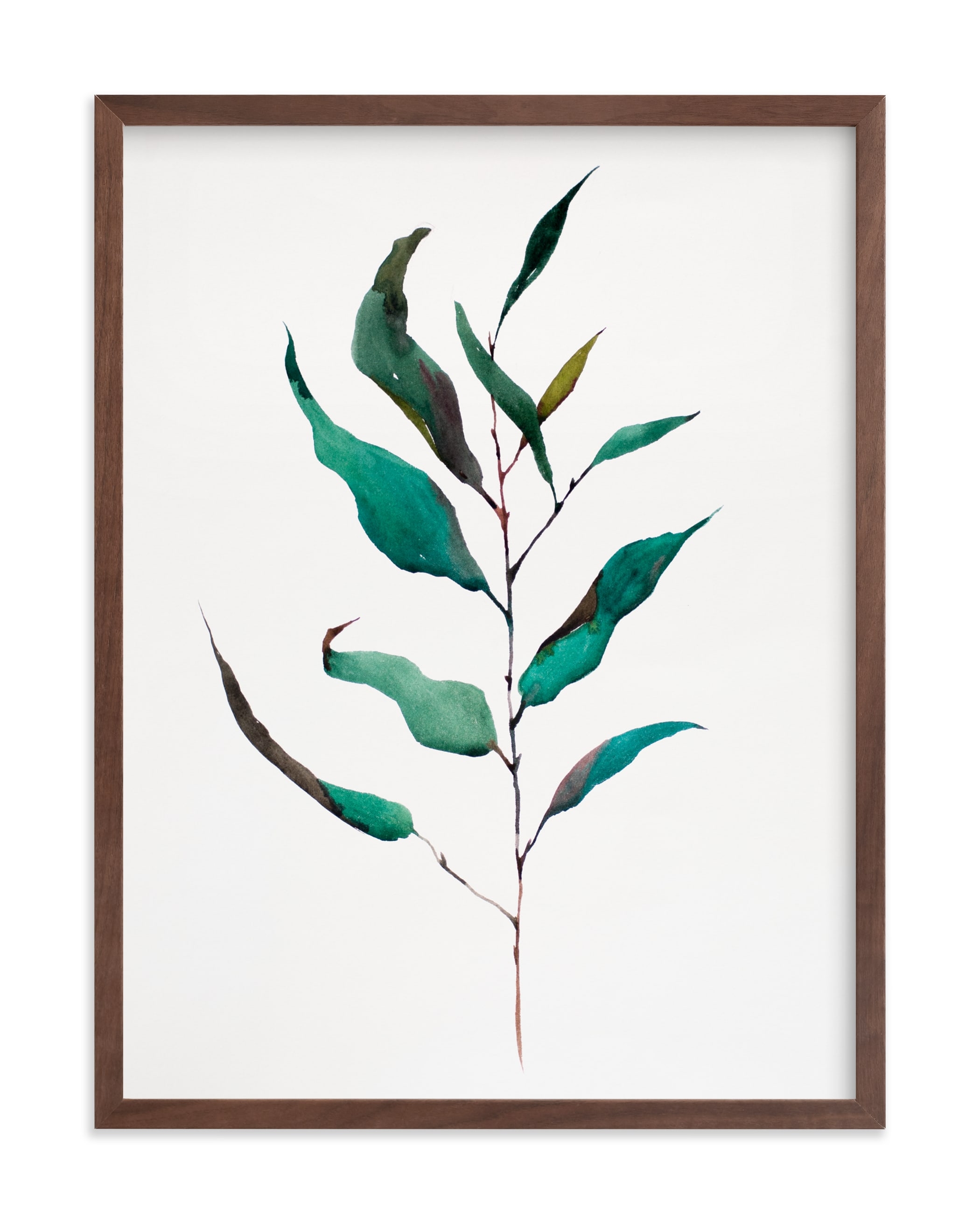 Eucalyptus Foliage Art Print 24x30" walnut frame - Image 0