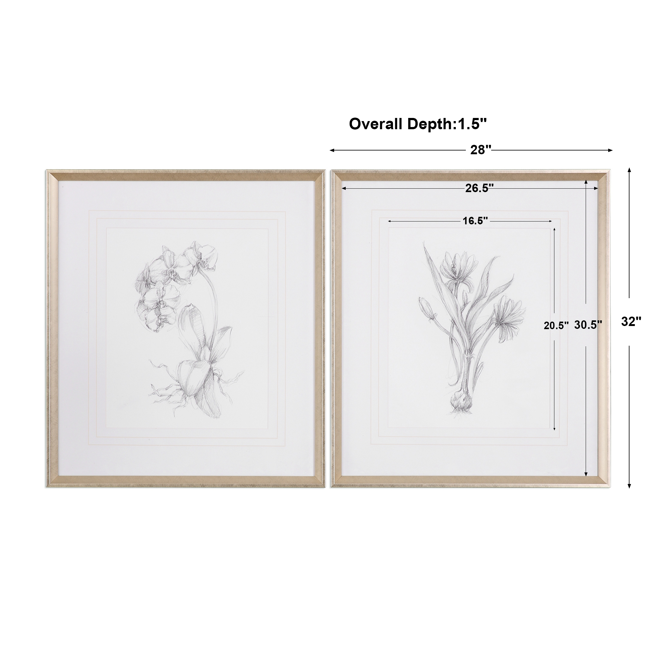 Botanical Sketch Art, Set of 2 - Image 2