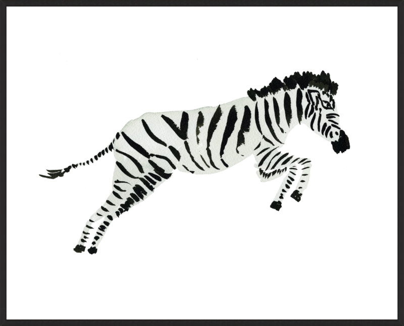 Zebra Leaping 17"x14" No Matte - Matte Black Metal Frame - Image 0