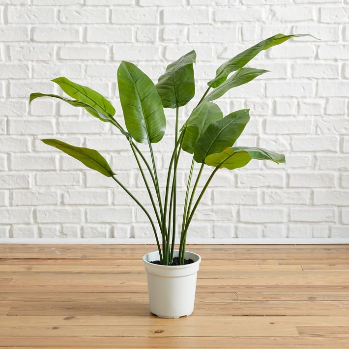 Faux Potted Bird of Paradise Plant Tree - Image 0