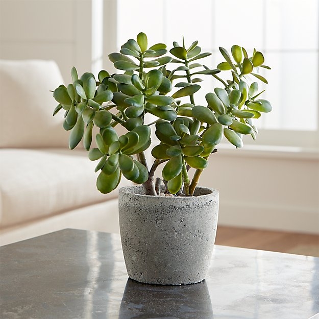 Potted Artificial Jade Plant - Image 1