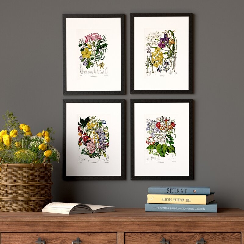 'Botanical' 4 Piece Picture Frame Graphic Art Set - Image 0