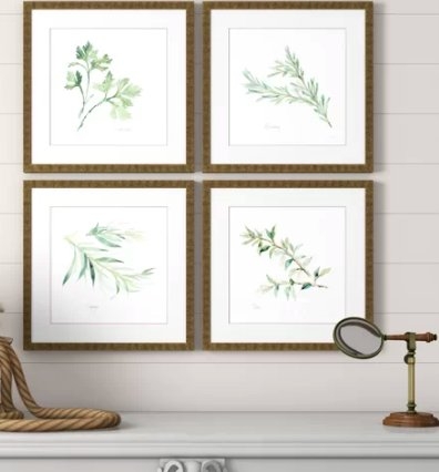 Herbs by Paschke - 4 Piece Picture Frame Graphic Art Print Set on Paper - Image 1