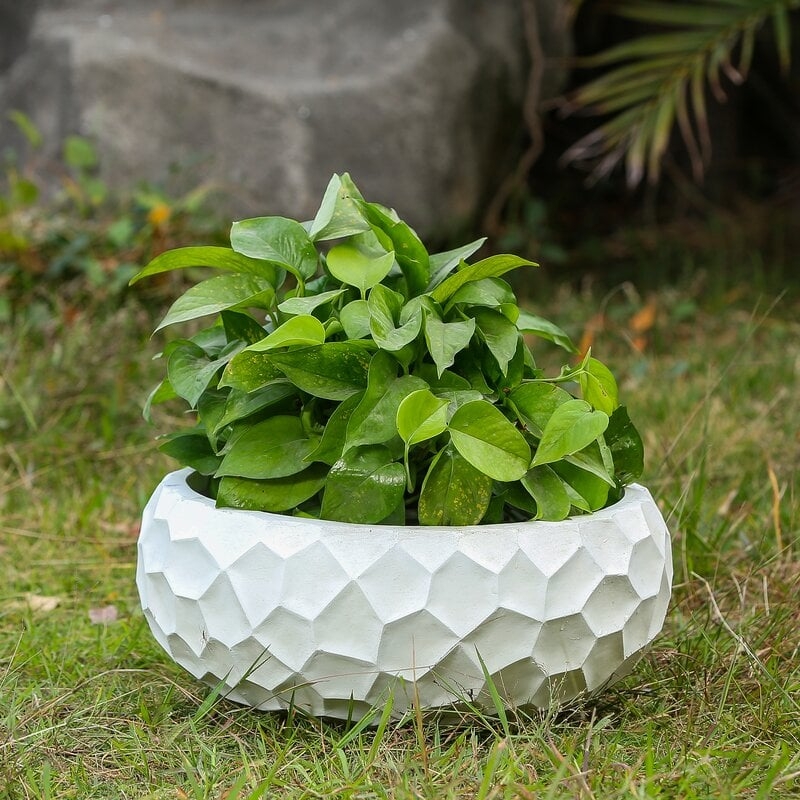 Alpert MgO Fiberclay Way Pot Planter - Image 0