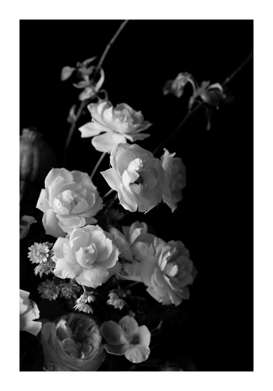 Black and White Floral Print 14 x 20" - Image 0