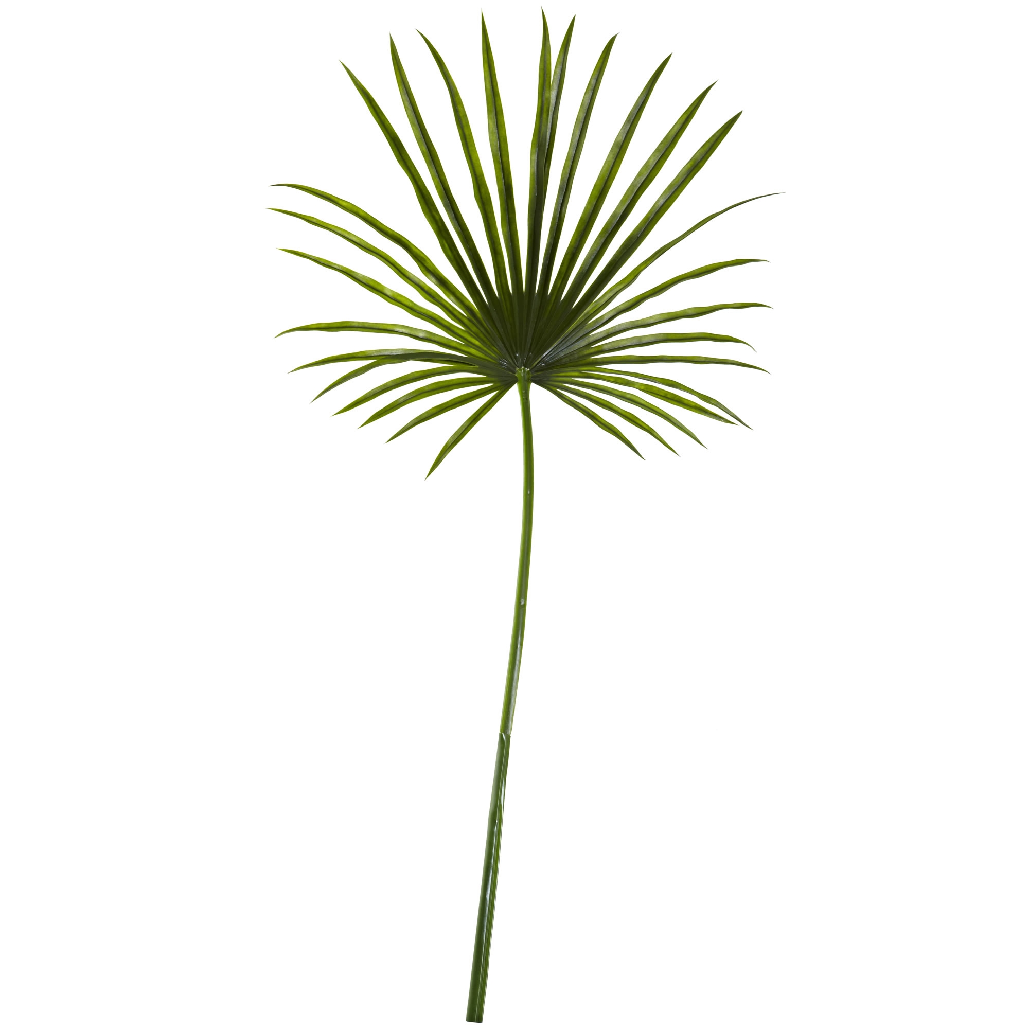 Faux Fan Palm Leaf, Set of 2 - Image 0