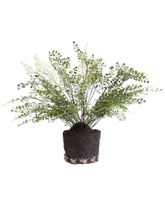 FAUX MAIDEN HAIR DROP-IN, 23" - Image 0