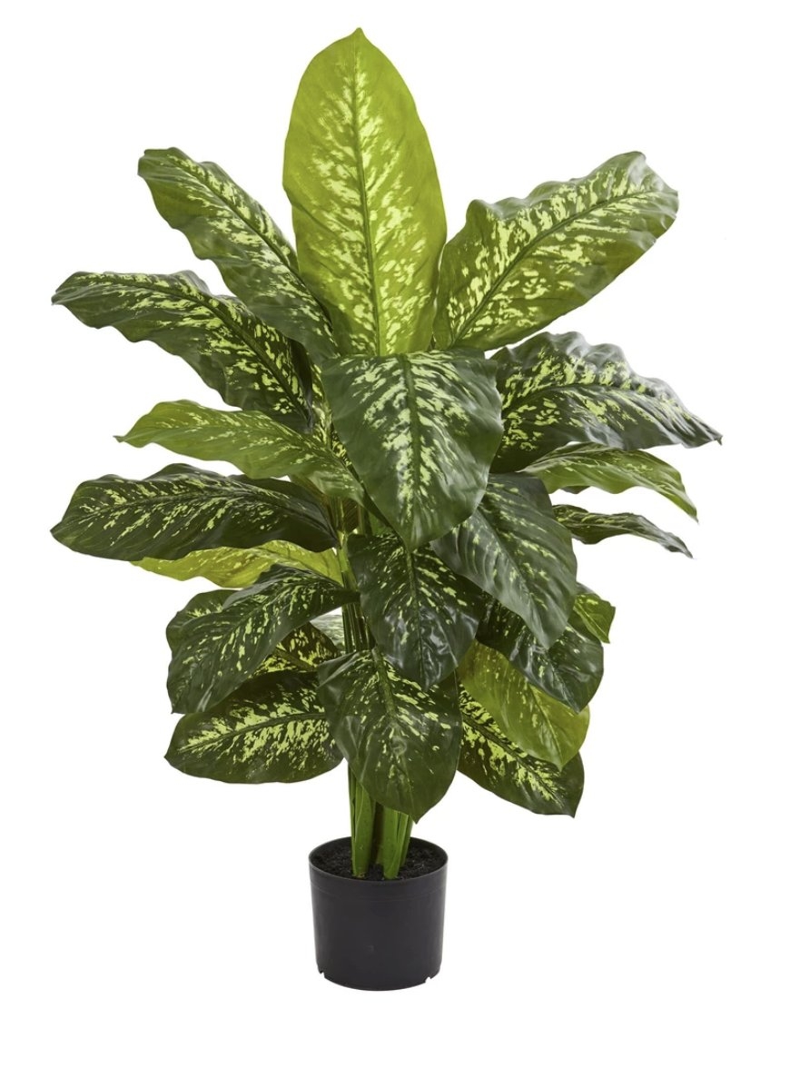 42” Dieffenbachia Artificial Plant (Real Touch) - Image 0