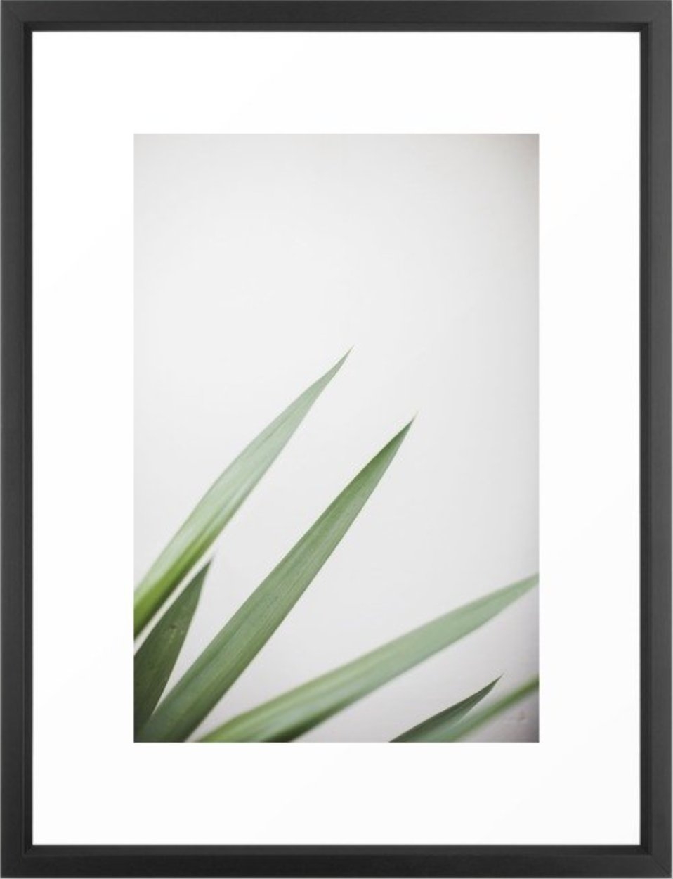 plant framed art print - Image 0