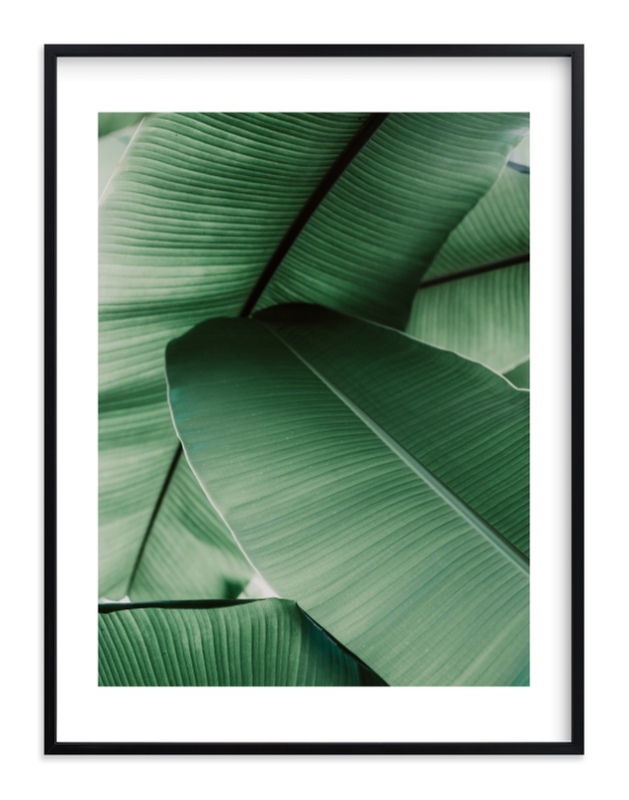 Tropical Leaves - White Wood Frame - Rich Black Wood Frame - Image 0