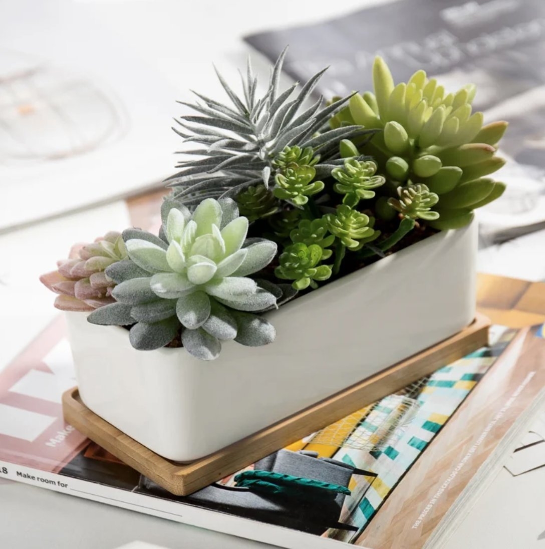 Artificial Succulents In Pot With Tray - Image 1