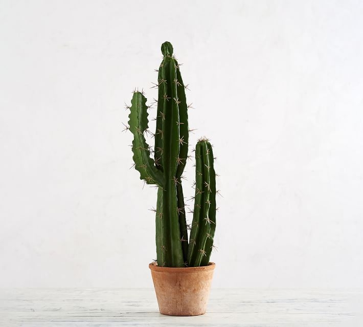Faux Potted Saguaro Cactus - Medium - Image 0