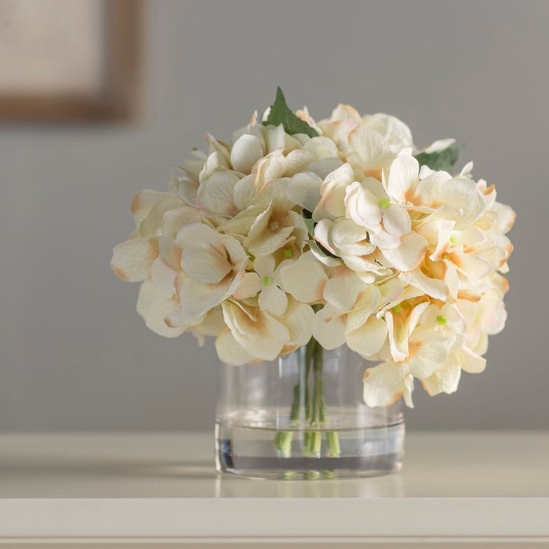 Hydrangea in Water Floral Arrangement in Glass Vase - Image 0