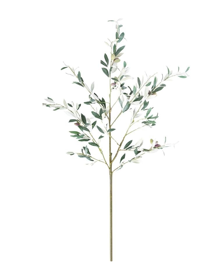 Faux Olive Branch - Image 0