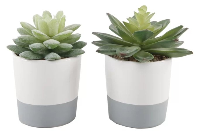 2 Piece Desktop Succulent Plant Set-Gray/White - Image 0
