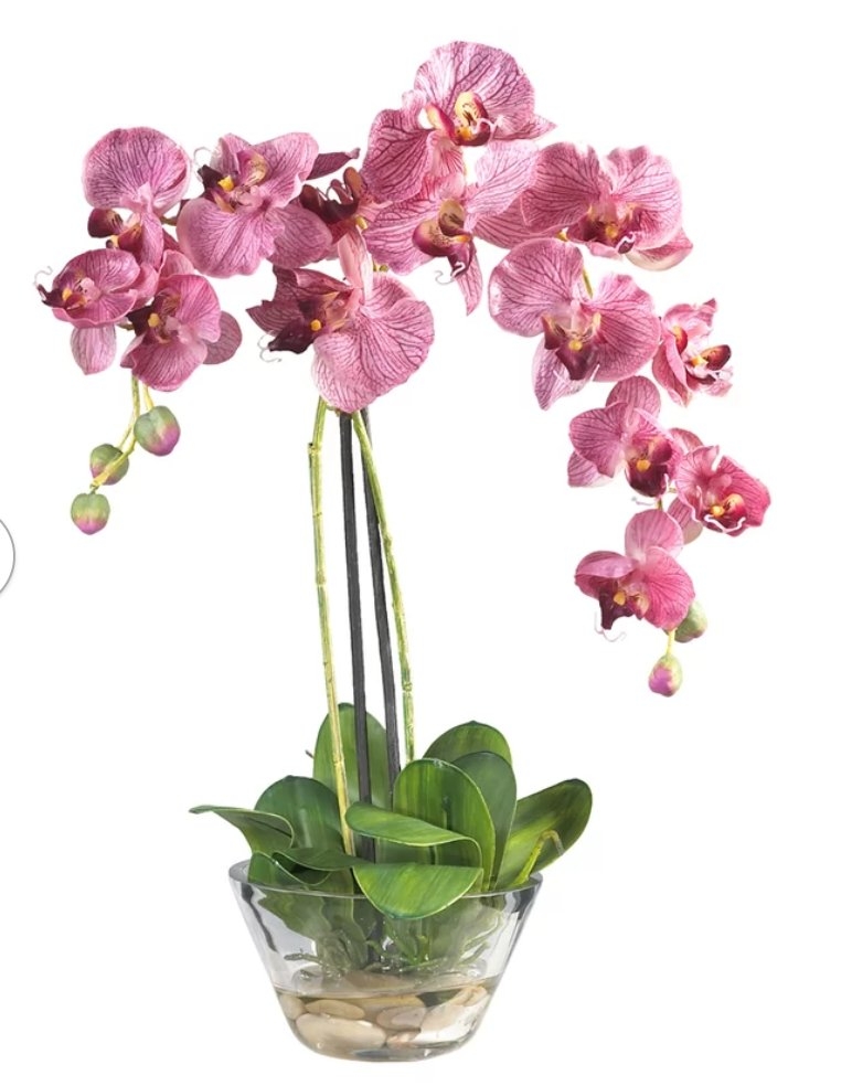 Orchid Floral Arrangement in Glass Vase - Image 0