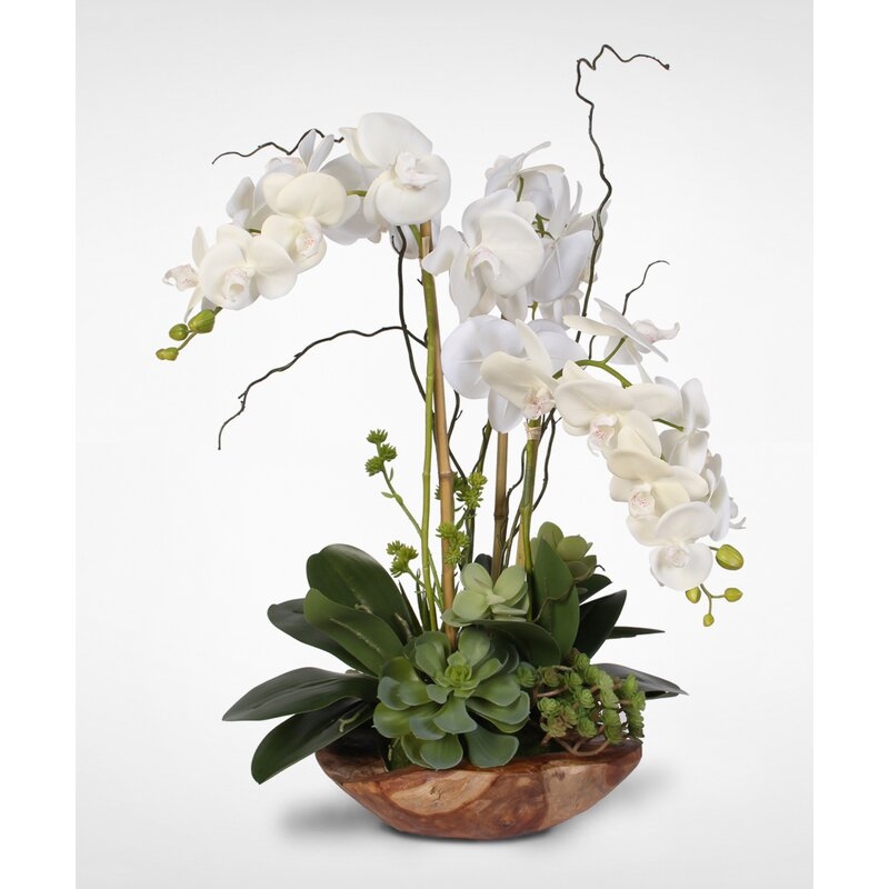 Orchids Floral Arrangement in Vase - Image 0