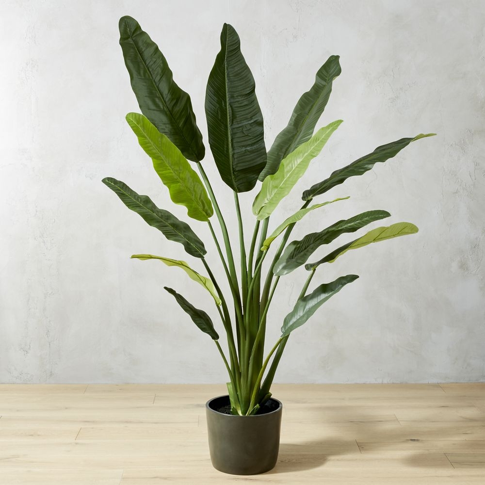 POTTED FAUX BIRD OF PARADISE 6' - Image 0