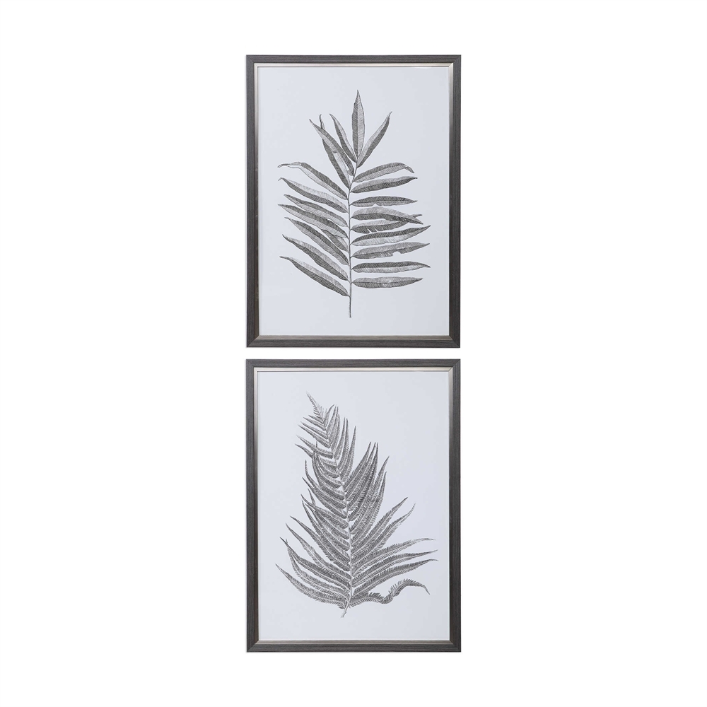 Silver Ferns Framed Prints, 29" x 32", Set of 2 - Image 0