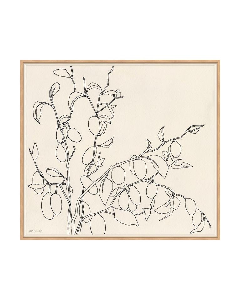 Sketched Olives, Framed, 42" x 38" - Image 0