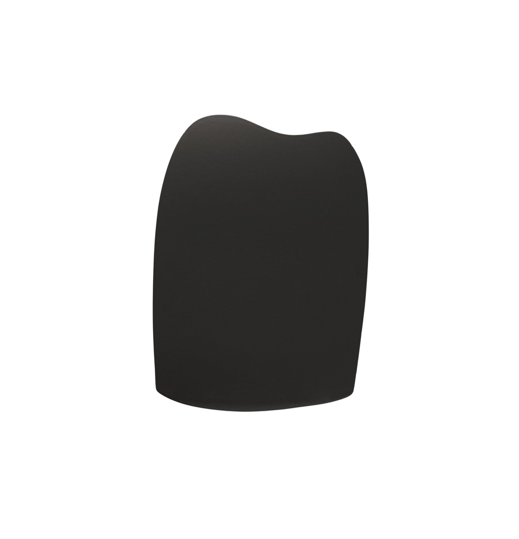 Clare Paint - Blackish  - Wall Swatch - Image 1