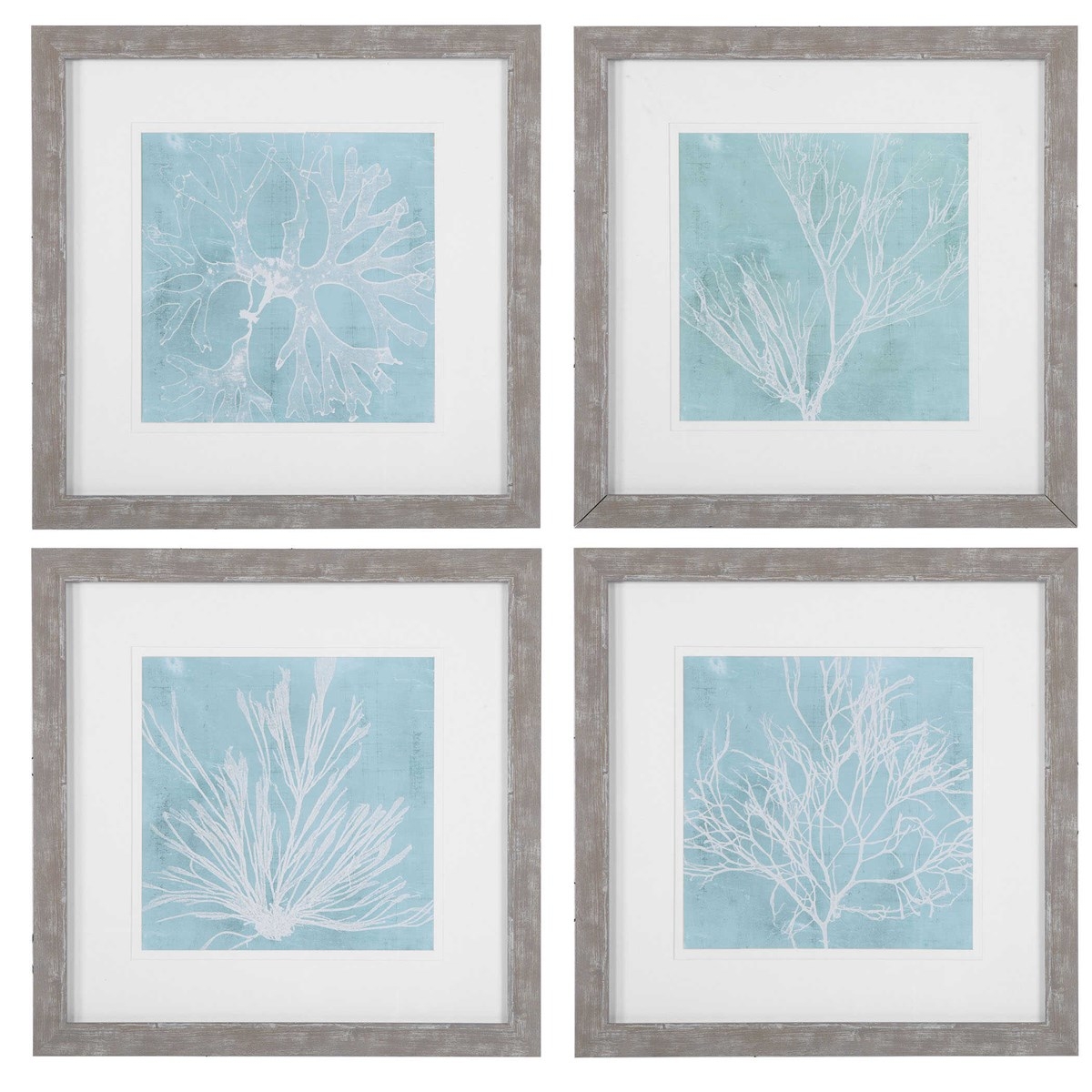 Seaweed On Aqua Framed Prints S/4 - Image 0