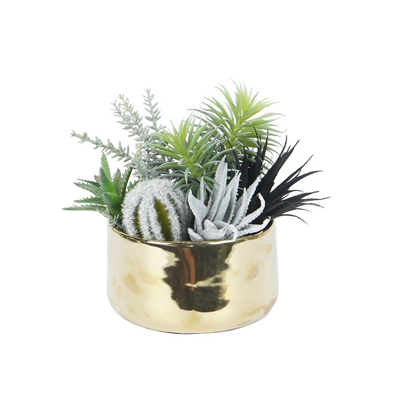 Artificial Succulent Cactus Floral Arrangement in Vase - Image 0