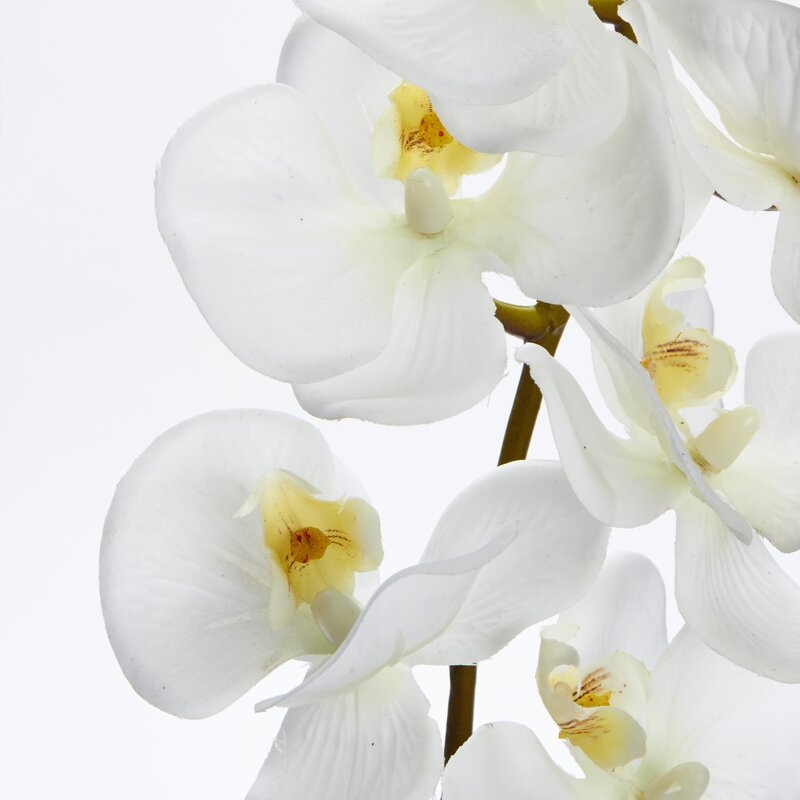 Phalaenopsis Faux Orchid Spray (Set of 12) - Image 1