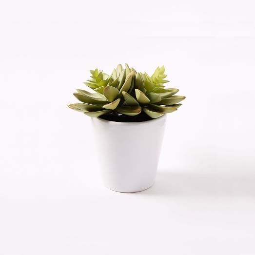 Faux Succulent - Echeveria - Image 0