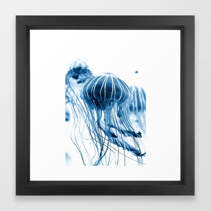 Jelly fish in the water Framed Art Print - Image 0