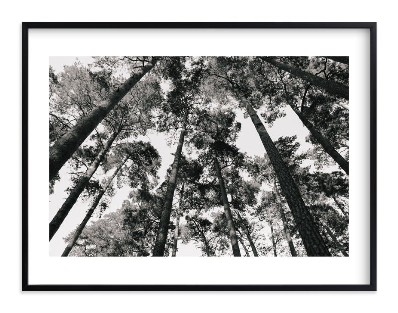 In the Woods - 40"x30" with white border - Image 0