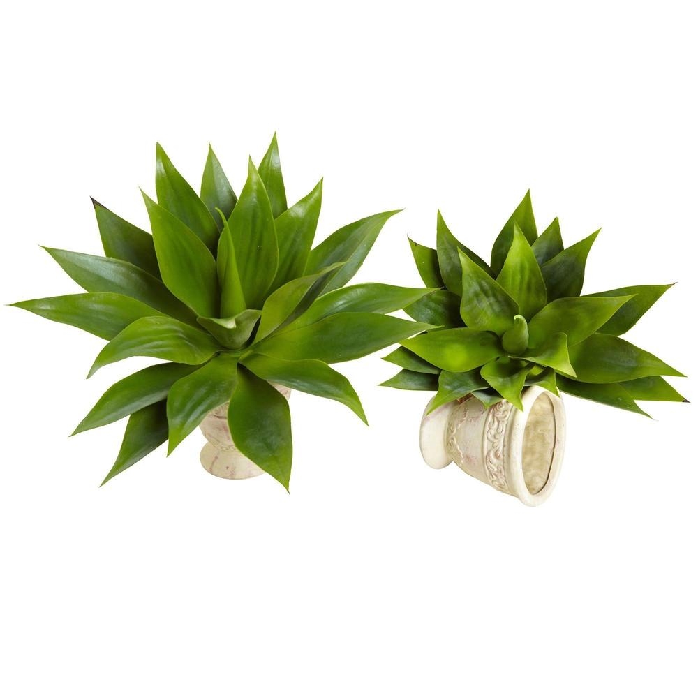 17” Agave Succulent Plant (Set of 2) - Image 1