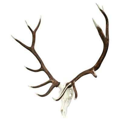 Elk European Wall Décor - Image 1