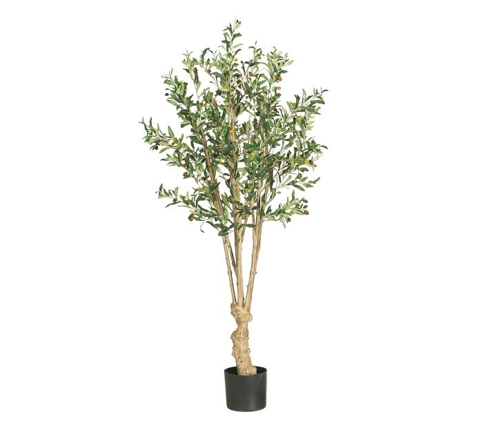 Faux Olive Tree, 5' - Image 0