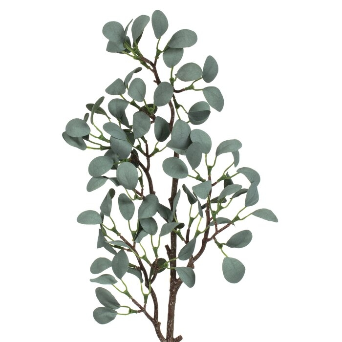 Eucalyptus Spray (Set of 3) - Image 3