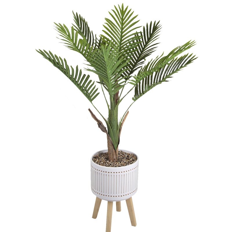 Areca Palm Tree in Planter - Image 0