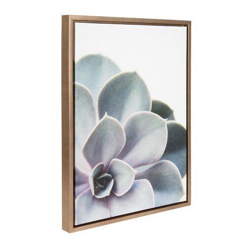 Sylvie Gold Succelent 5 by Emiko and Mark Franzen - Picture Frame Photograph Print on Canvas - Image 1