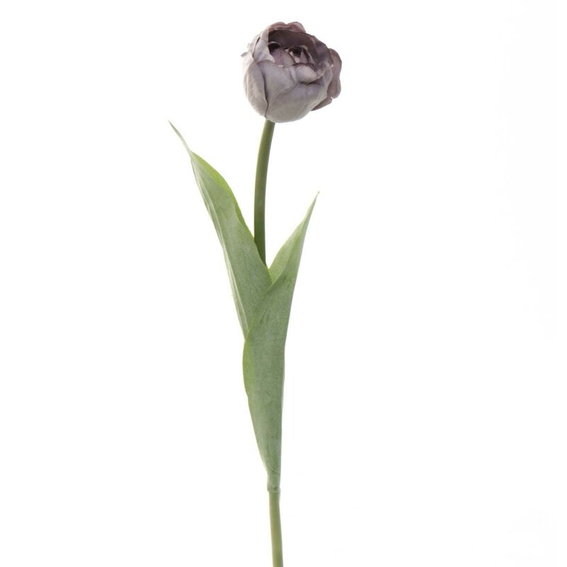Decorative Tulip Stem- set of 4 - Image 0