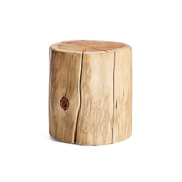 Natural Tree-Stump Side Table - Image 1