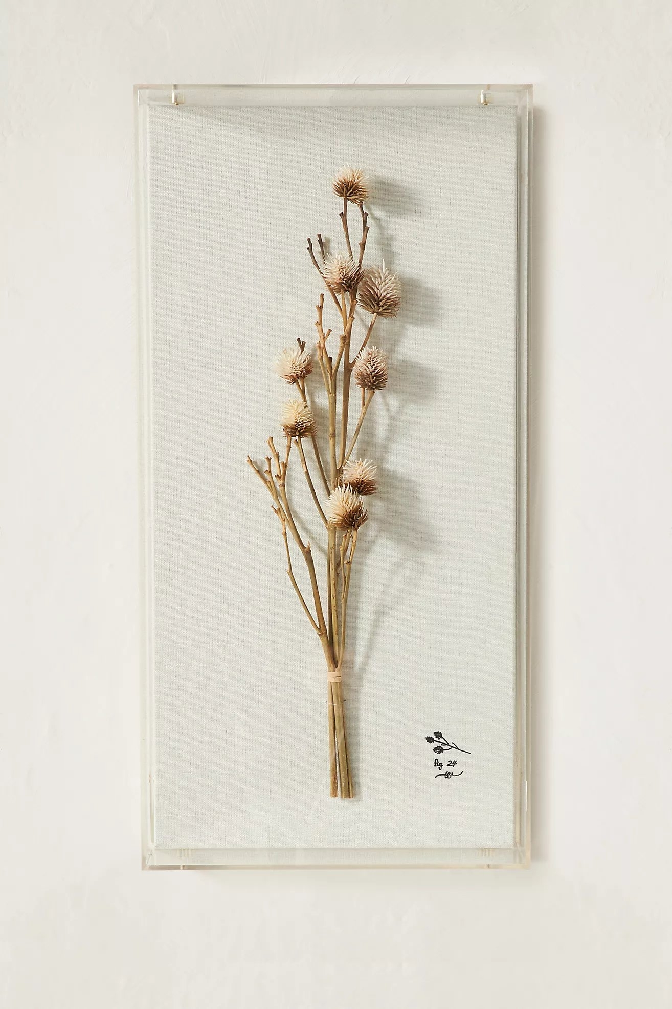 Dried Botanical Wall Art, Cream, 12" x 24" - Image 0