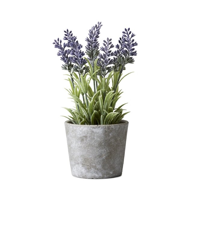 Flowering Plant Pot - Image 1