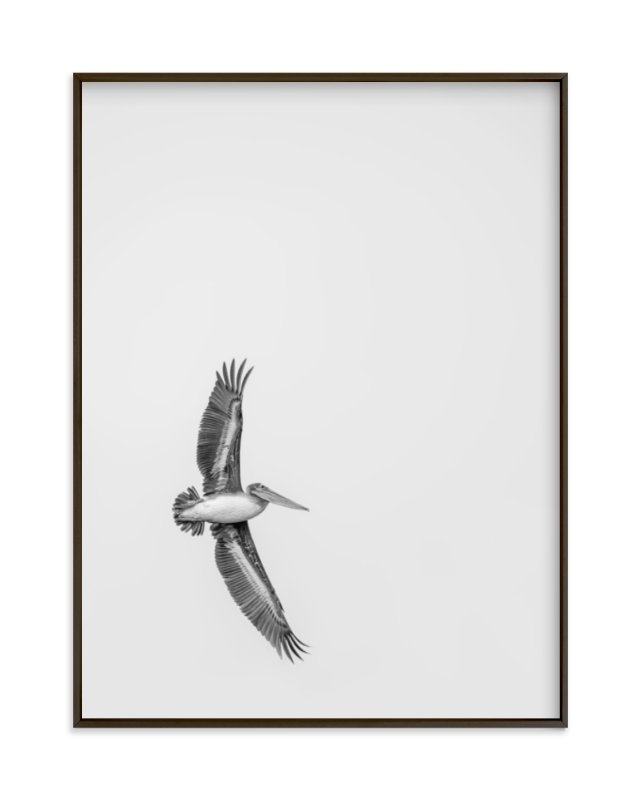 gliding pelican over lake - Image 0