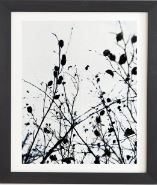 ABSTRACT TREE Black Framed Wall Art By Mareike Boehmer - Image 0