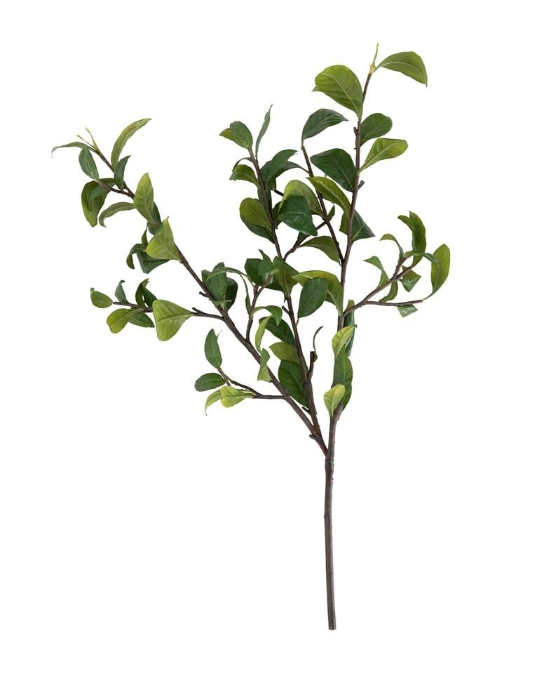 Faux Gardenia Leaf Branch - Image 0